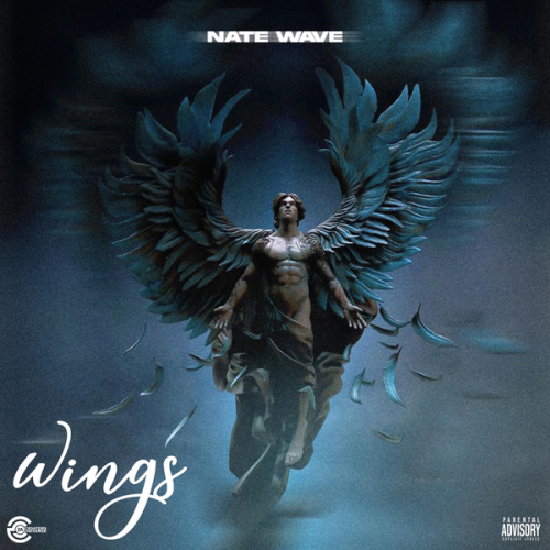 Cover art of Natewave – Wings