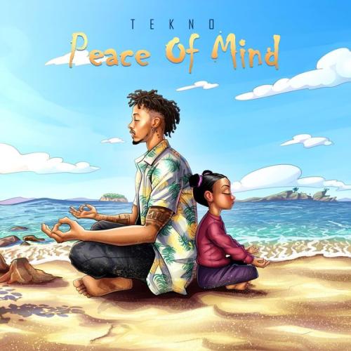 Cover art of Tekno – Peace of Mind