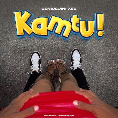 Cover art of Geniusjini x66 – Kamtu