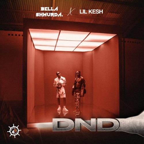 Cover art of Bella Shmurda – DND ft. Lil Kesh