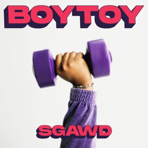 Cover art of SGaWD – Boytoy