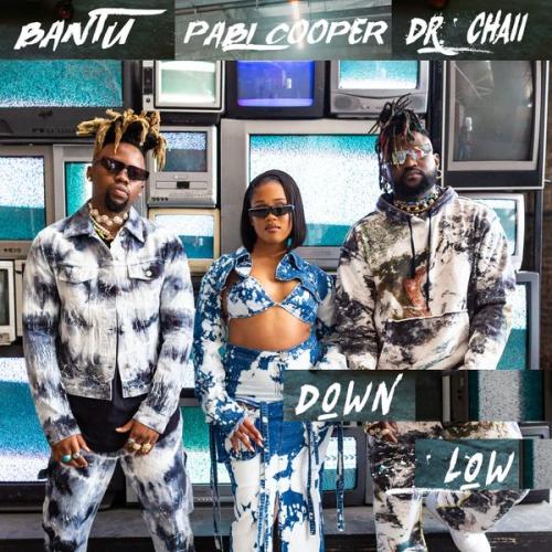 Cover art of Bantu – Down Low
