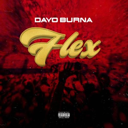 Cover art of Dayo Burna – Flex