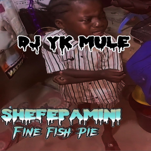 Dj Yk Mule – Shefepamini Fine Fish Pie Latest Songs