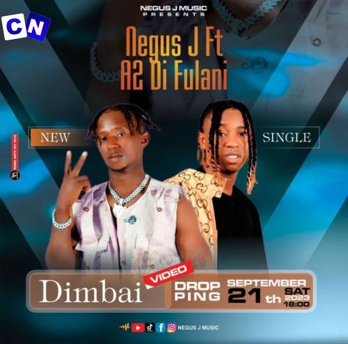 Cover art of Negus J – Dimbaii ft A2 Di Fulani