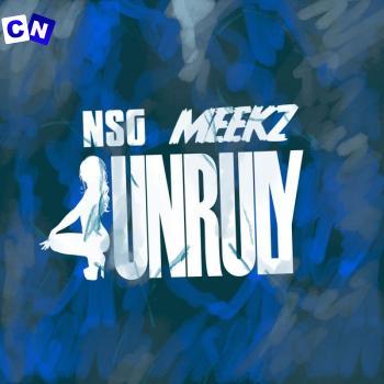 Cover art of NSG – UNRULY Ft Meekz