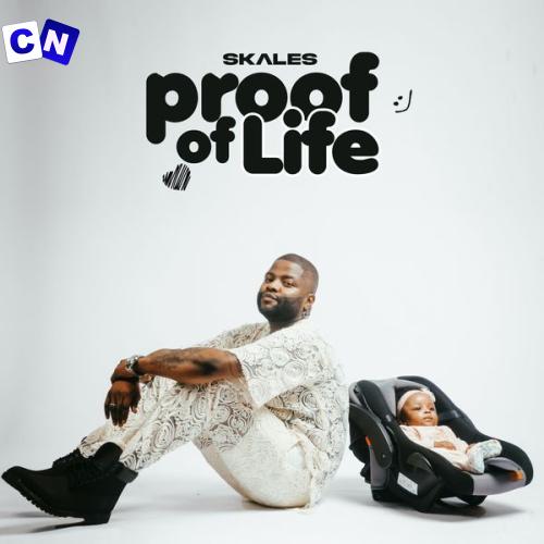 Cover art of Skales – Don’t Say Much