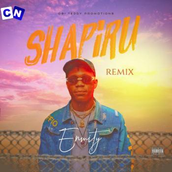 Cover art of Enmity – Shapiru (Remix)