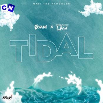 Cover art of D’yani – Tidal (Sped Up) Ft Chronic Law