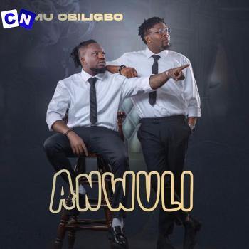 Cover art of Umu Obiligbo – Anwuli