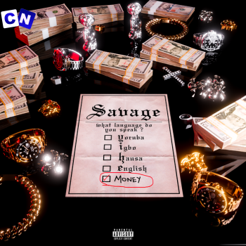 Cover art of Savage – Money Language