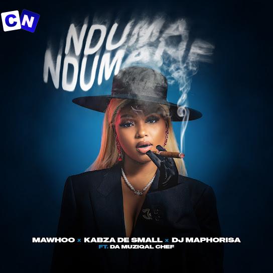 Cover art of DJ Maphorisa – Nduma Ndumane ft Kabza De Small, Mawhoo & Da Muziqal Chef