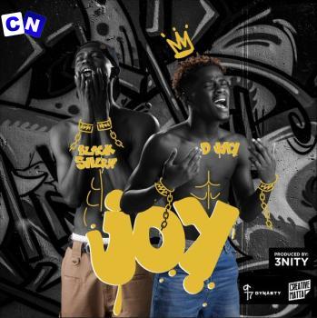 Cover art of D Jay – JOY Ft Black Sherif