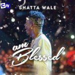 Shatta Wale – Am Blessed
