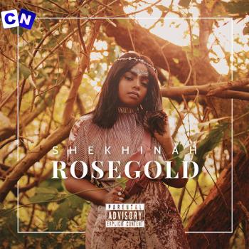 Cover art of Shekhinah – Please Mr