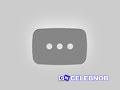 Alpha Blondy – Ayoka  CAN 2024 Didi B, Roseline Layo, Soum Bill  Official Video