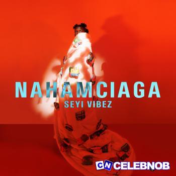 Cover art of Seyi Vibez – Nahamciaga EP (Album)