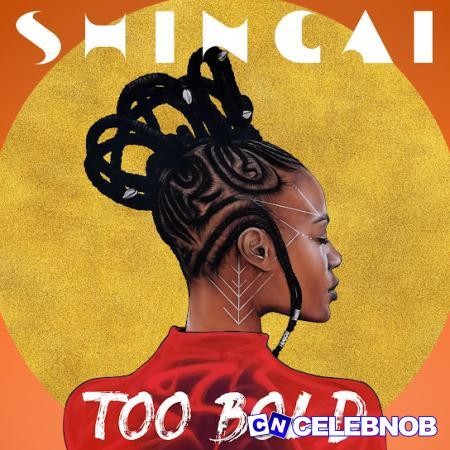 Cover art of Shingai – Ghost Town (Battle Scars)