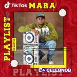 DJ Glitter – TikTok Mara Playlist Part 2 (Track 1) Ft. Dj Best