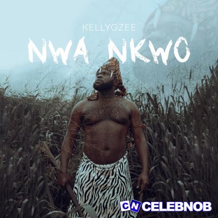 Cover art of Kellygzee – Nwankwo Nwankwo
