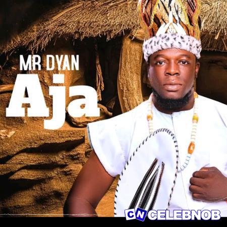 Cover art of Mr Dyan – Ina Achukwa Aja