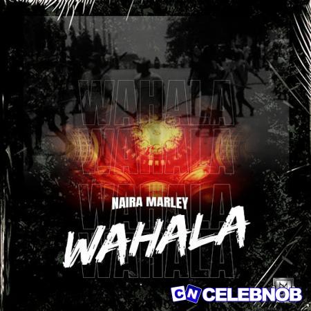 Cover art of Naira Marley – Wahala
