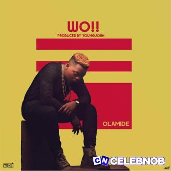 Cover art of Olamide – Wo!!