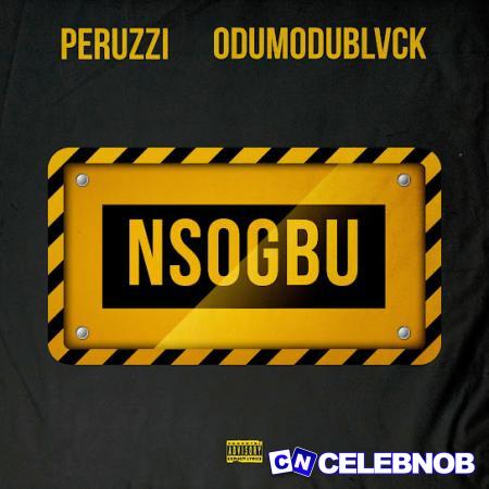 Cover art of Peruzzi – Nsogbu Ft. Odumodublvck