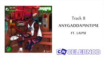 Cover art of PsychoYP – Anygaddamntime ft. Laime