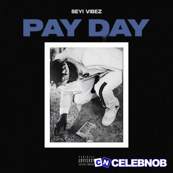 Cover art of Seyi Vibez – Pay Day
