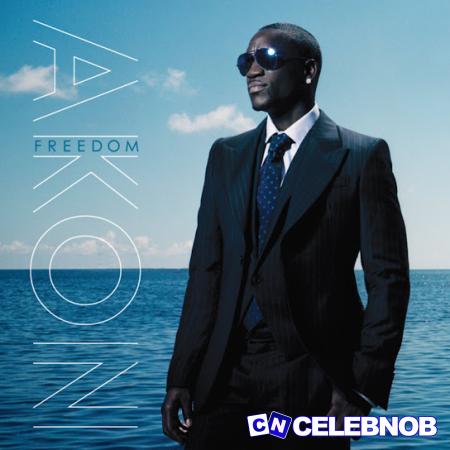 Cover art of Akon – Sunny Day Ft Wyclef Jean