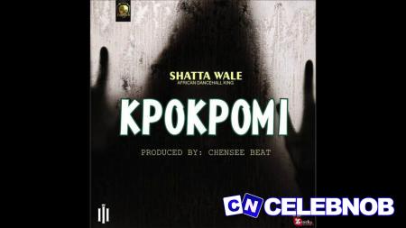 Cover art of Shatta Wale – Kpokpomi (New Song)