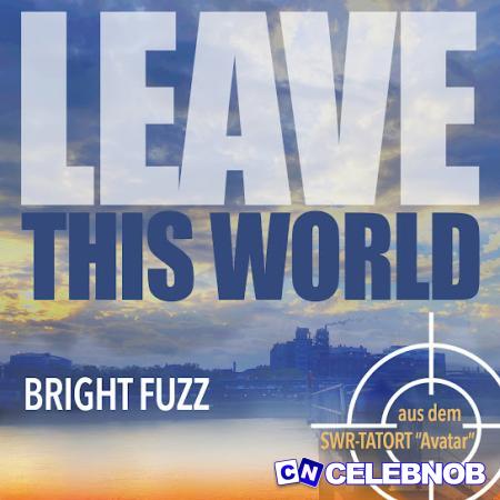 Cover art of Bright Fuzz – Leave This World