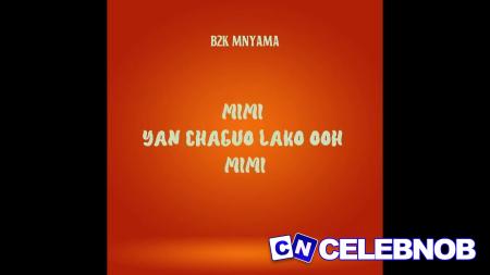 Cover art of B2k Mnyama – Mimi