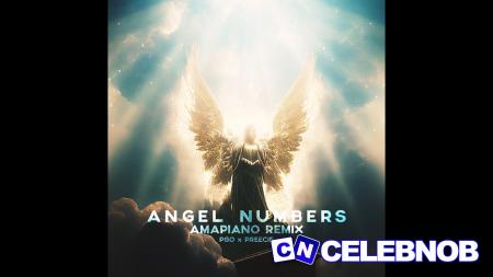 Cover art of Chris Brown – Angel Numbers (PGO & Preecie Amapiano Remix)