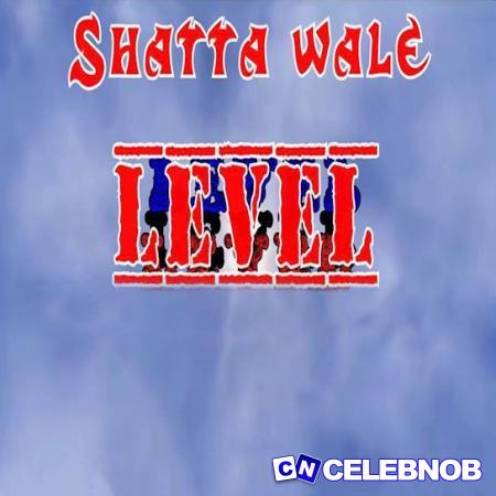 Cover art of Shatta Wale – Level