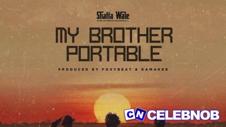 Cover art of Shatta Wale – Portable