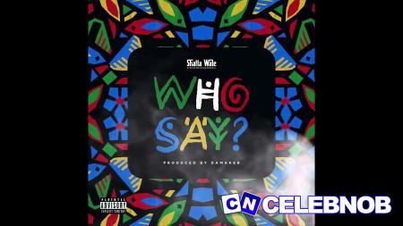 Cover art of Shatta Wale – Who Say