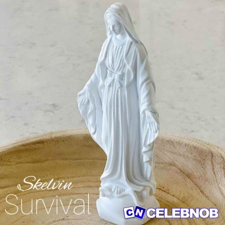 Cover art of Skelvin – Survival
