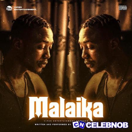 Cover art of Olatop Ekula – Malaika