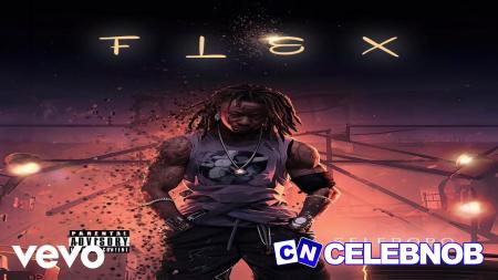 Cover art of Selebobo – Flex