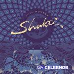 Shakti – Shrini’s Dream ft. John McLaughlin, Zakir Hussain, Shankar Mahadevan & Selvaganesh Vinayakram
