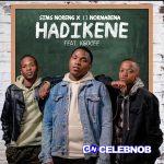 Sims Noreng – Hadikene ft. 13 Nor Mabena & Kgocee
