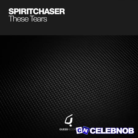 Cover art of Spiritchaser – These Tears (Est8 Piano Mix)