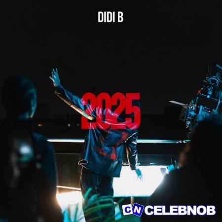 Cover art of Didi B – 2025