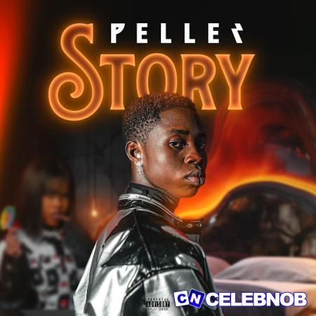 Cover art of Story – Peller