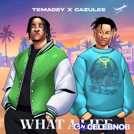 Cover art of Temadey – WHAT A LIFE Ft. Cazulee