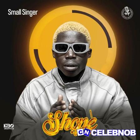 Cover art of Small Singer – Shope