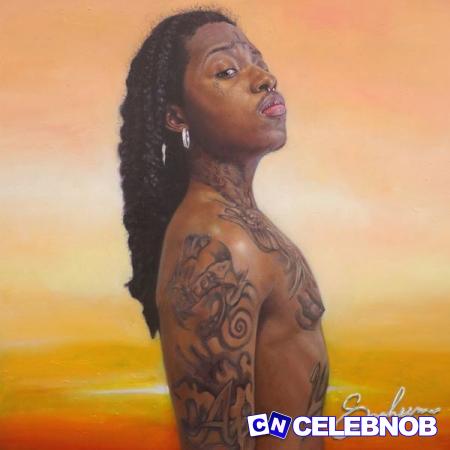 Cover art of SahBabii – Viking