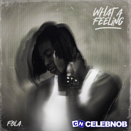 Cover art of FOLA – Who Does That? Ft Bella Shmurda